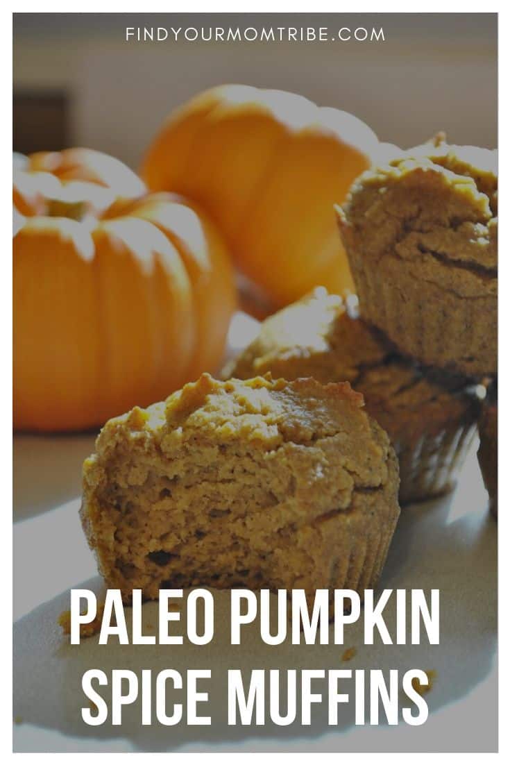 Paleo Pumpkin Spice Muffins Recipe