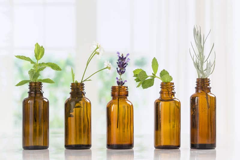 Essential Oils For Babies: 7 Types and Their Uses