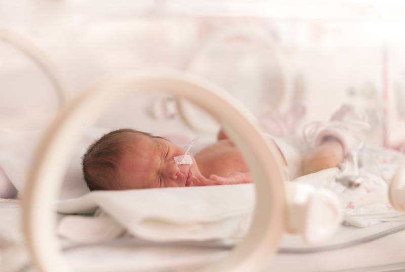 Premature newborn baby girl in the hospital incubator