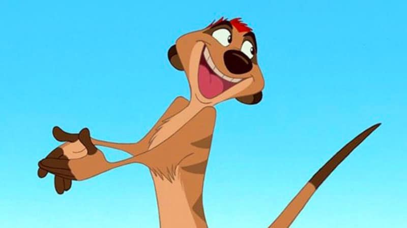 Disney-Boy-Names-Baby-Names-Inspired-By-Disney-Characters-Timon