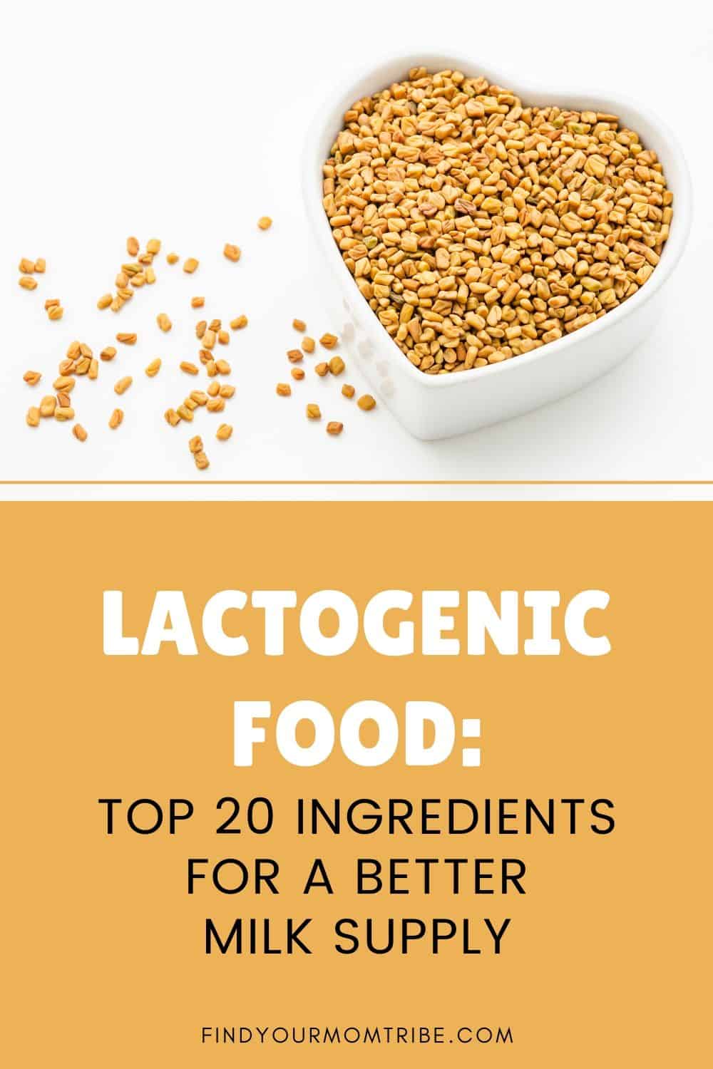 Lactogenic Food Pinterest