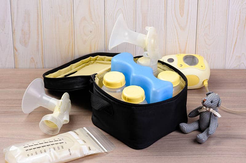Best Breast Pump Bag in 2022: The Best Guide For Choosing Your Perfect Fit