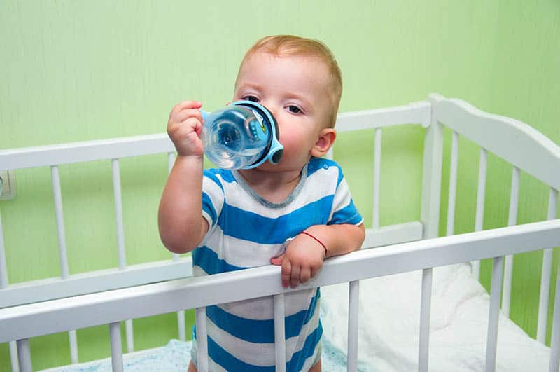 Glass Sippy Cups: All You Need To Know For Your Little One’s Safety