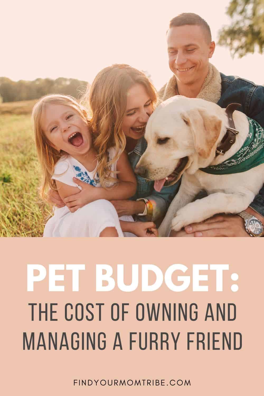 Pinterest Pet Budget