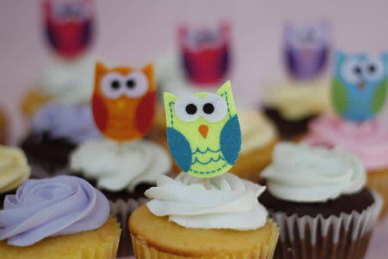 Cute DYI Owl cupcakes for baby shower