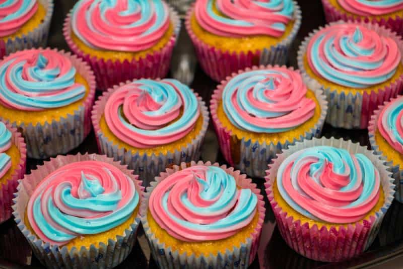 Pink and blue gender reveal cupcakes
