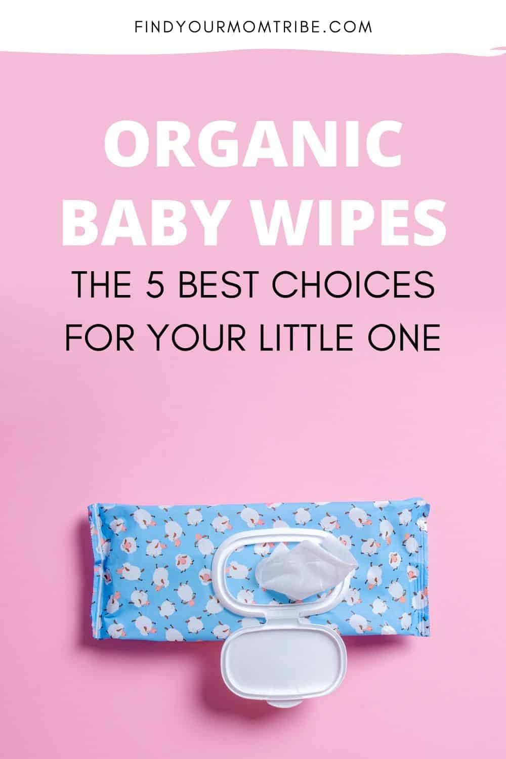 Pinterest Organic Baby Wipes