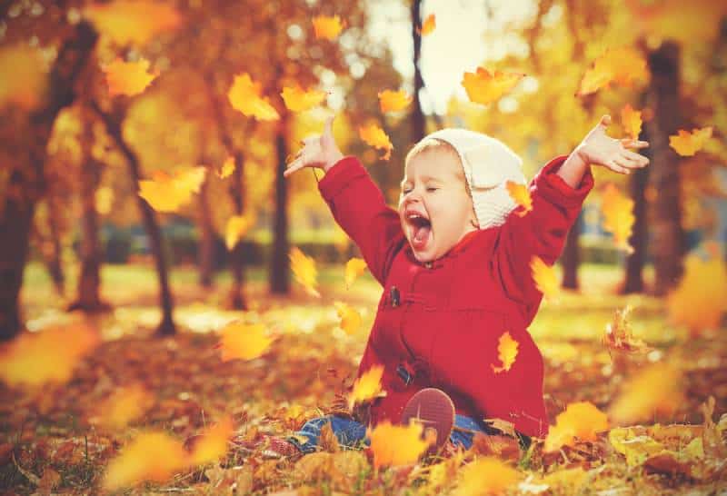 happy little child in autumn