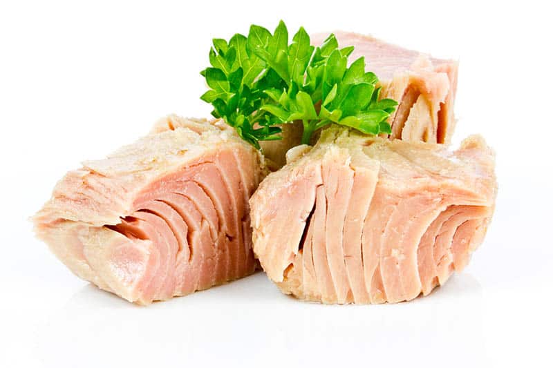 tuna sea food