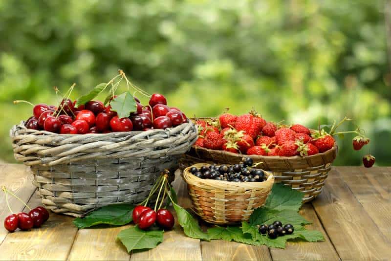 Strawberries and cherries on a wooden table