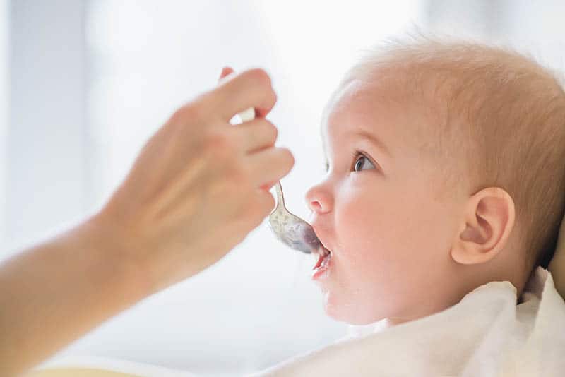 baby getting fed with spoon