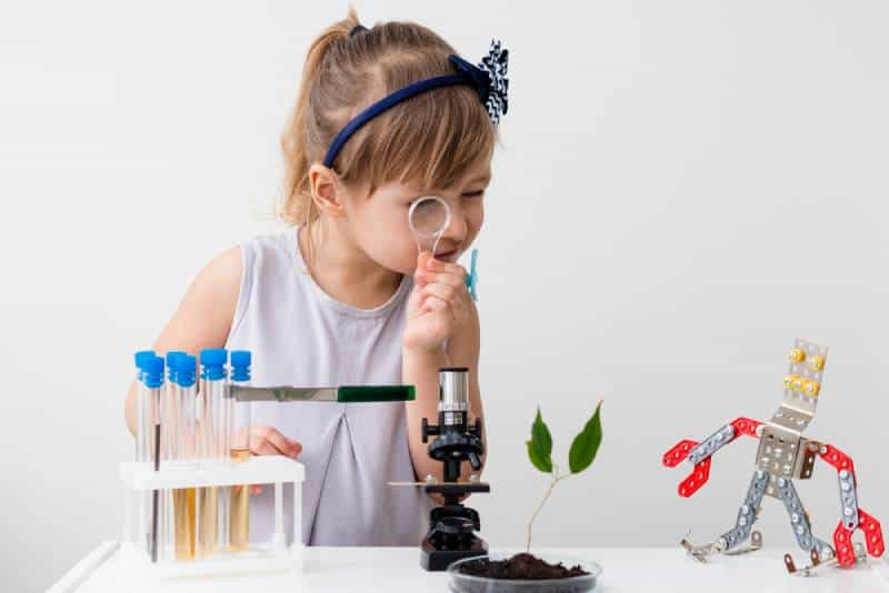 Little girl is behind the desk trying stem education, microscope and the tree are near her