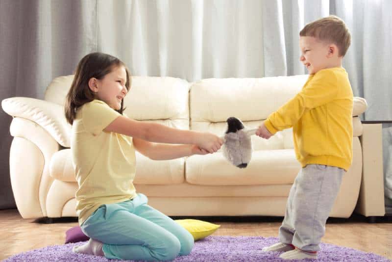 siblings fighting over a toy