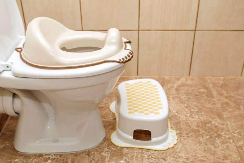 Goodbye Diapers: 11 Best Potty Training Toilet Seats Of 2022