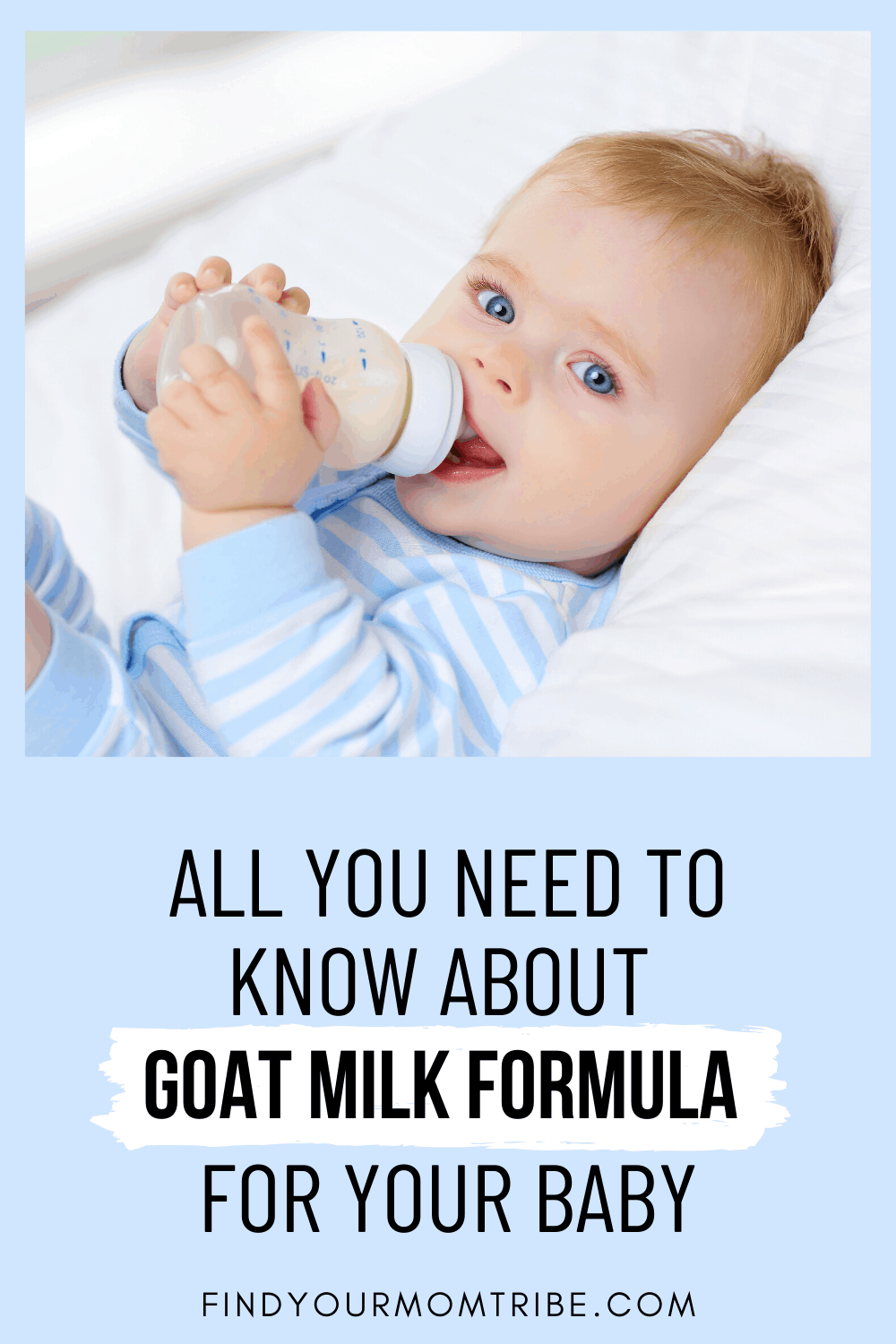 Pinterest goat milk formula