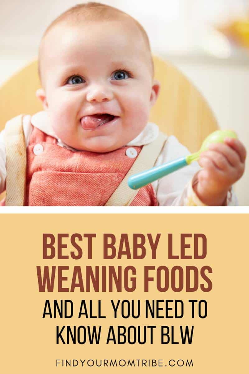 Best Baby Led Weaning Foods And All You Need To Know About BLW