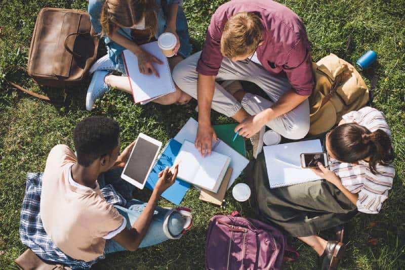 overhead view of young students studying together while sitting on grass
