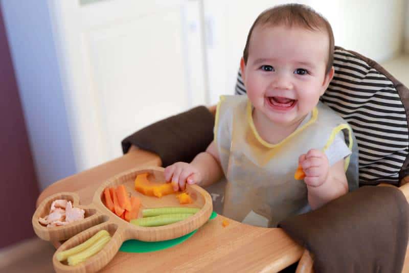 Happy baby eating mix vegetables by himself with BLW or baby led weaning on high chair