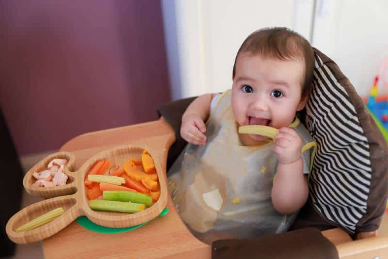 Cute boy self feeding with finger food dishes of mix vegetables corn,carrot,cucumber, pumpkin and fish