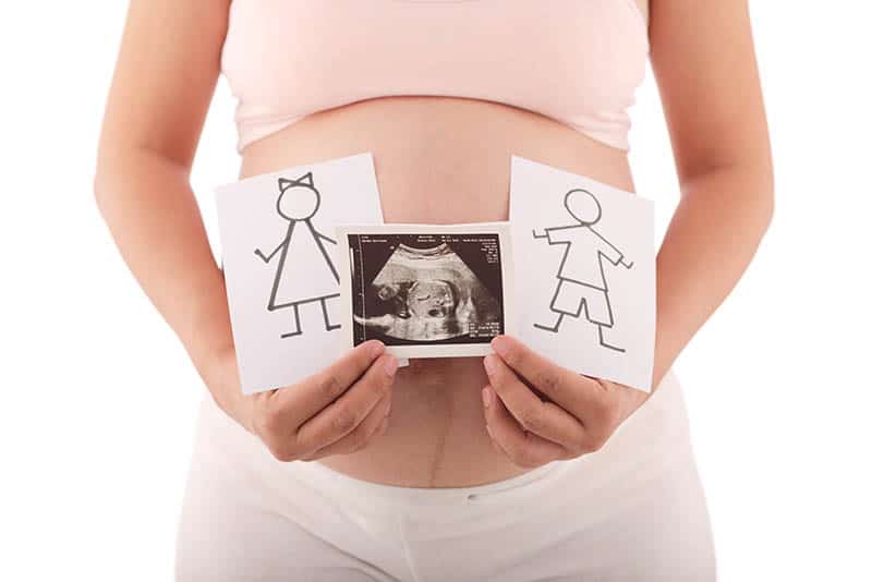 Cropped image of pregnant woman holding ultrasound scan and drawings of boy and girl