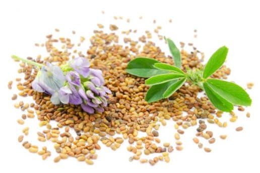 6 Best Herbal Teas For Breastfeeding And Milk Supply In 2022