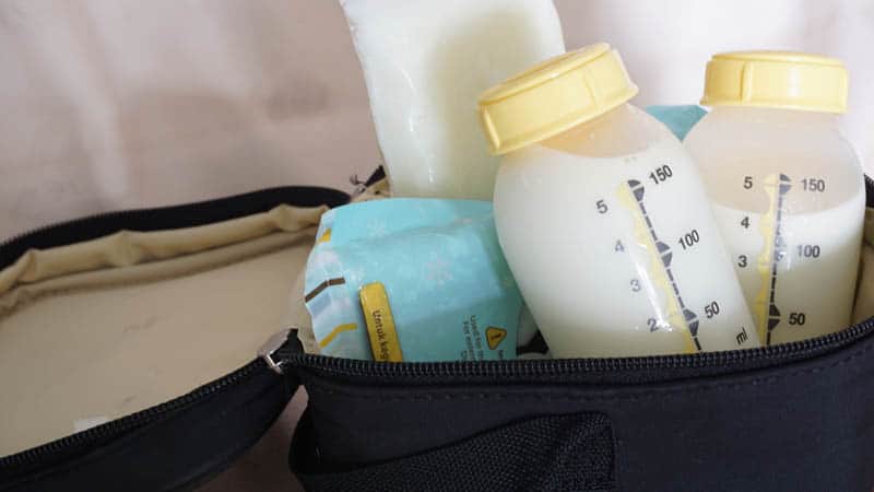 22 Best Breast Milk Coolers For Moms On The Go In 2022