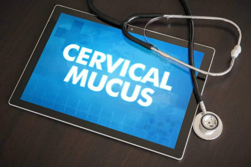 Cervical mucus (menstrual cycle related) diagnosis medical concept on tablet screen with stethoscope