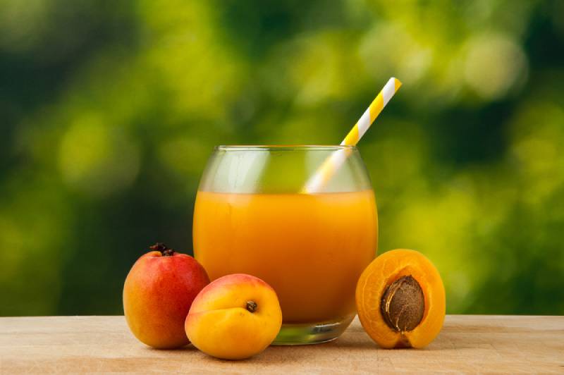 Fresh Apricot Juice in a glass and Apricots on wooden table outdoors