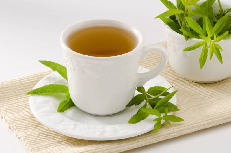 Lemon verbena Herbal Tea in a white cup on a table