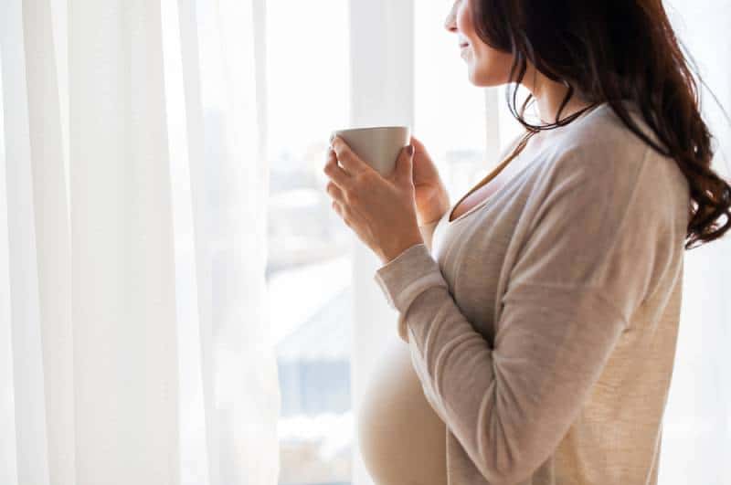 pregnant woman with cup drinking tea looking through window at home
