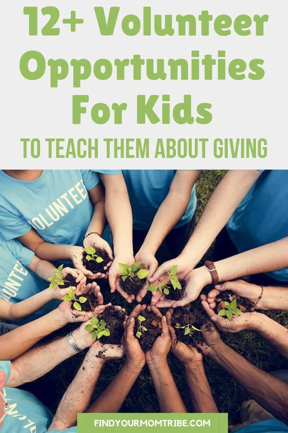 Volunteer Opportunities  For Kids 