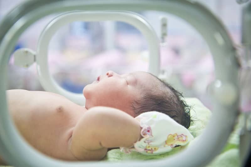 little baby lying in incubator