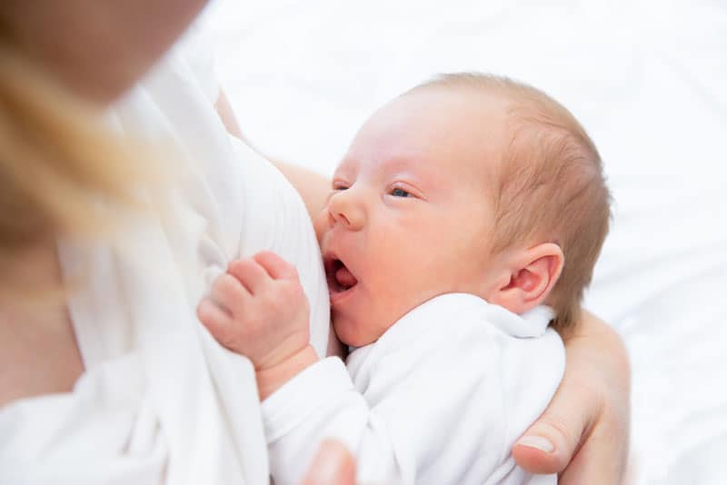 newborn baby getting breastfeeding
