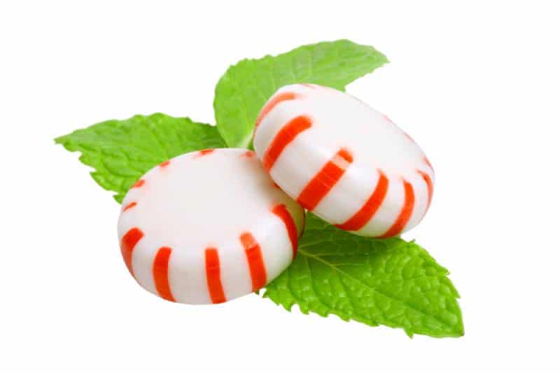 2 peppermint candies on peppermint leafes