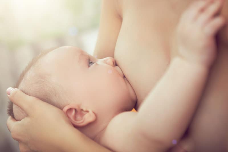 baby suckling mothers nipple