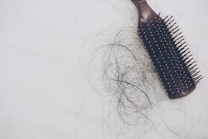 comb with hair on it from postpartum hair loss