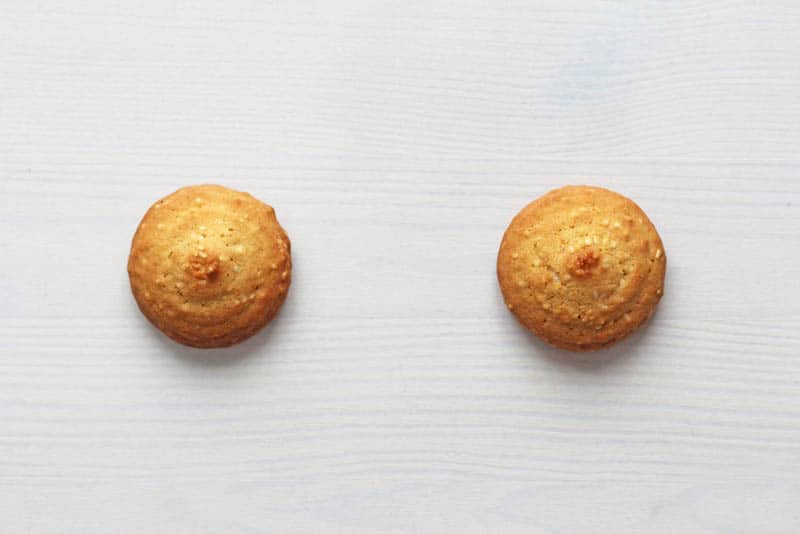 Cookies on a white background, similar to female nipples.