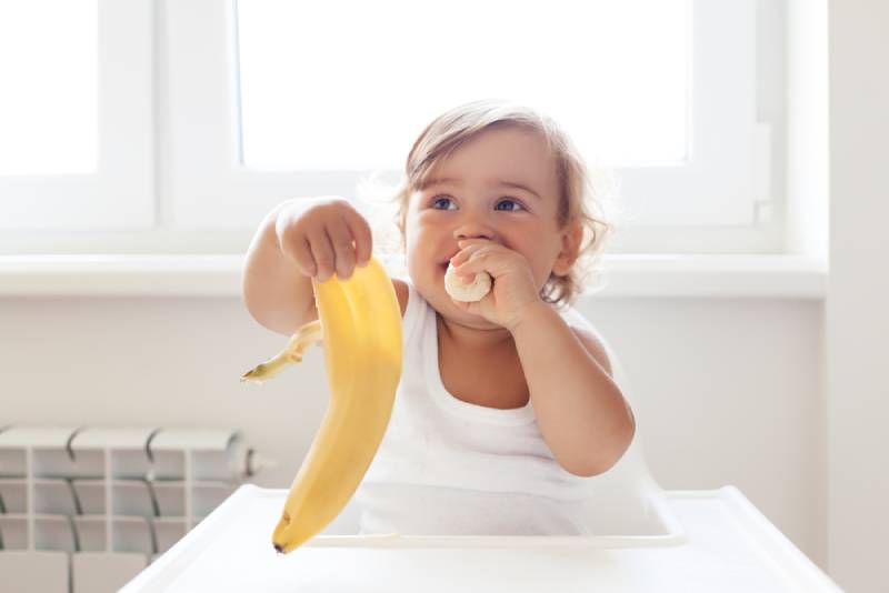 Baby eating banana while sitting in high chair