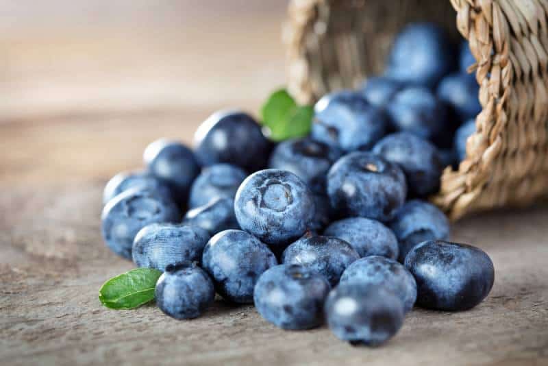 Blueberry on wooden table background