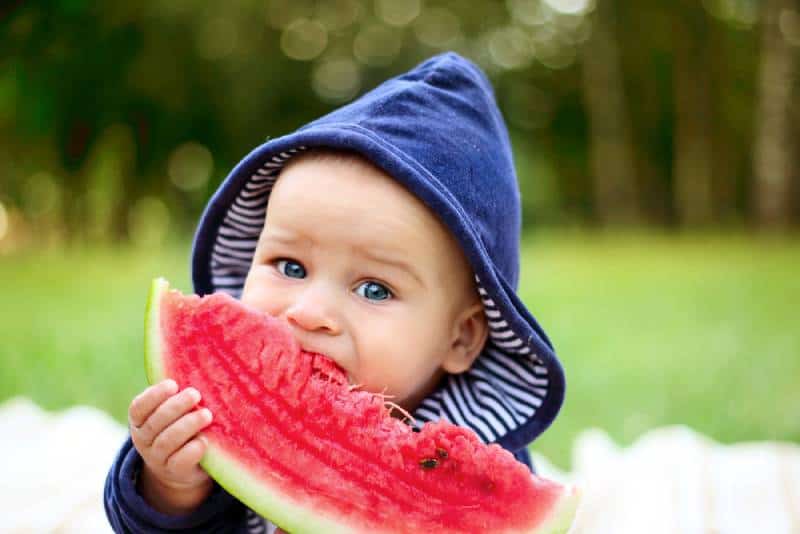 little boy eats ripe watermelon on the nature