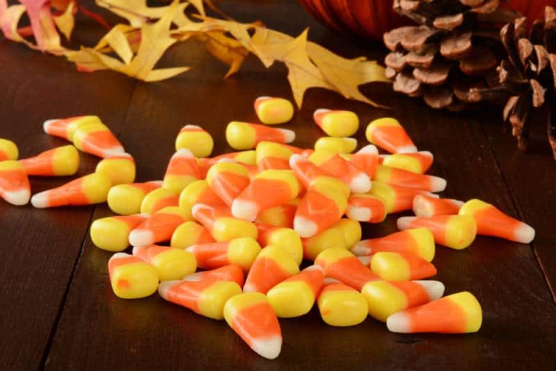 Candy corn on a rustic wooden table with holiday decorations