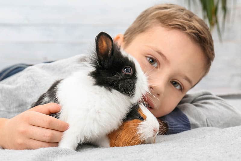 Cute boy with funny guinea pig