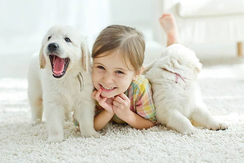 8 Good Pets For Kids And 8 Things To Consider Before Buying One