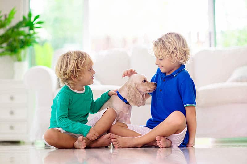Two boys brothers playing with pet dog