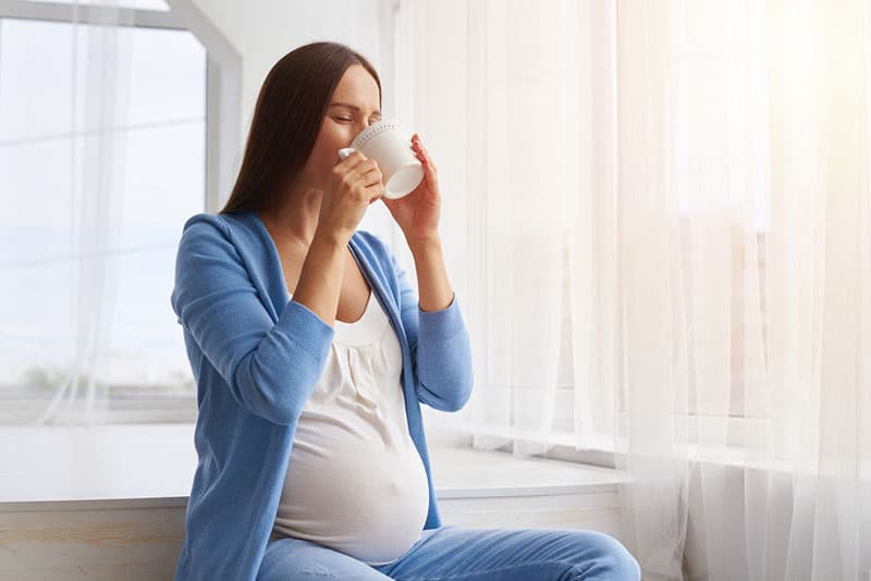 pregnant woman drinking tea near the window