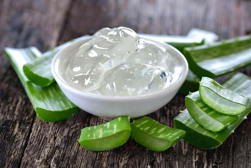 aloe vera gel in little plate with pieces of aloe plant
