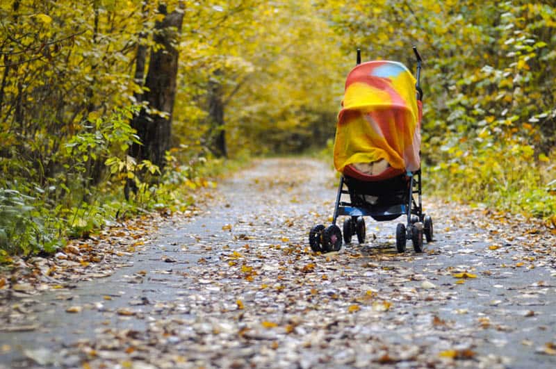 stroller with baby covered with blanket on the road