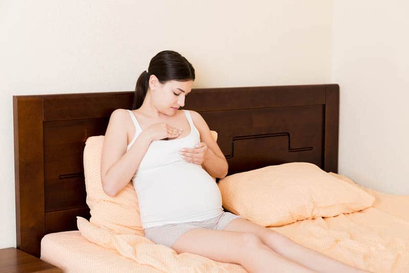 young pregnant woman having breast lactation 