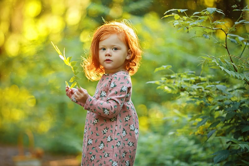 beautiful red haired little girl holsing a plant and posing outdoors