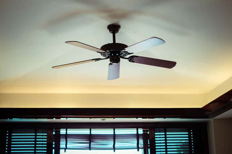 ceiling fan in the room for an air circulation
